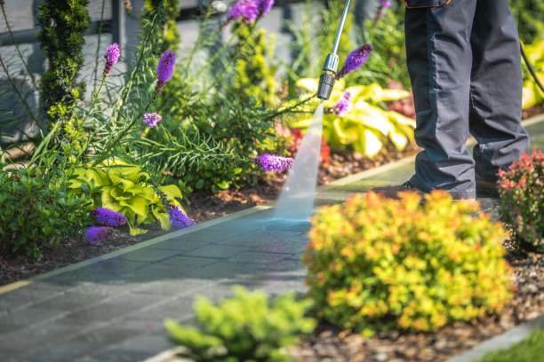 Reliable Simpsonville, SC  Pressure Washing Services Solutions